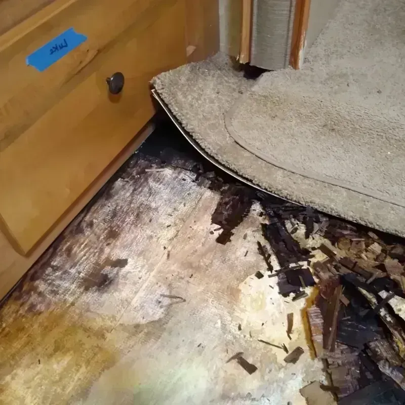 Best Wood Floor Water Damage Service in Tubac, AZ